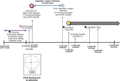 Case report: Recovery of hallucinations and cognitive impairment after administration of donepezil in a patient with schizophrenia and carbon monoxide poisoning